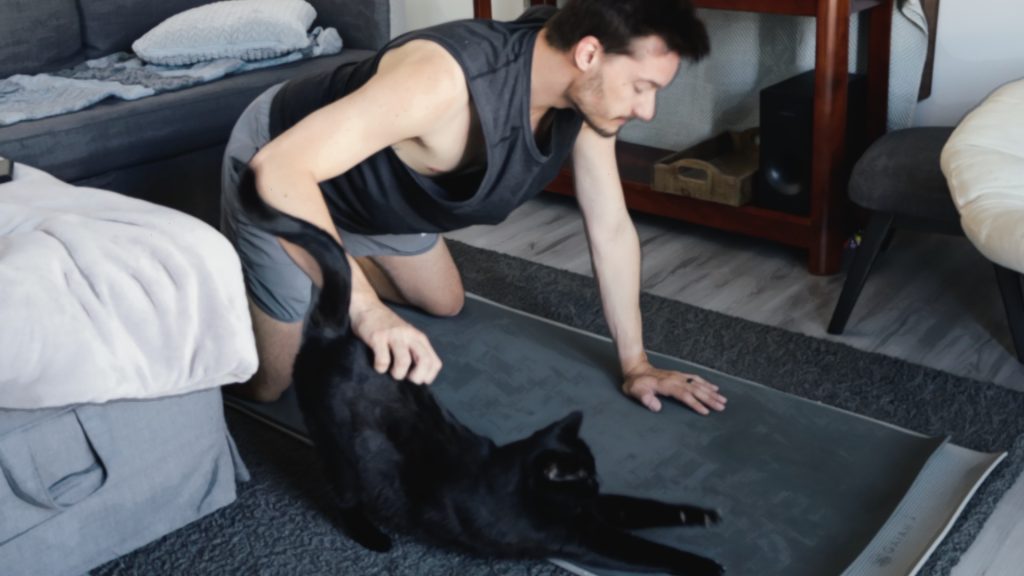 ScootyDub practicing yoga with his cat